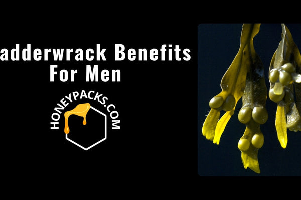 Bladderwrack Benefits For Men: Natural Support For Vitality