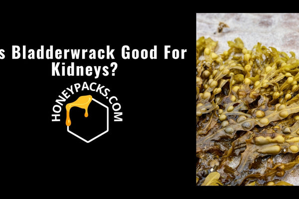 Is Bladderwrack Good For Kidneys? Benefits And Risks Explained