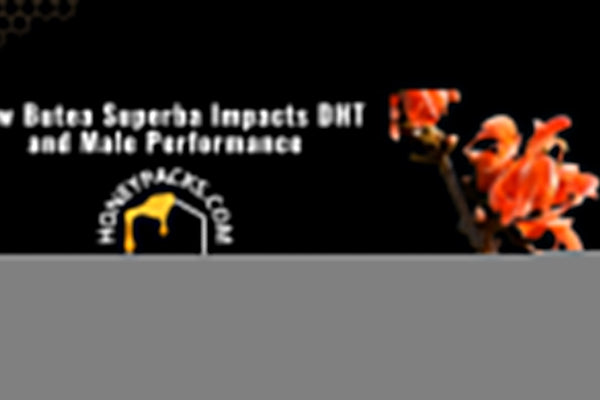 How Butea Superba Impacts DHT and Male Performance
