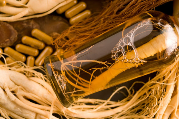 How To Use Ginseng | Dosage, Prep, and Benefits